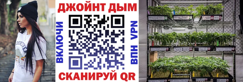 Марихуана план  ОМГ ОМГ ССЫЛКА  Луга  продажа наркотиков 